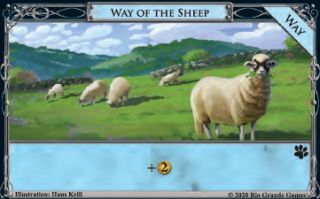 Way of the Sheep.jpg