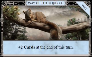 Way of the Squirrel.jpg